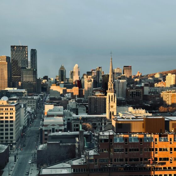 pexels alena evseenko 660538512 32296380