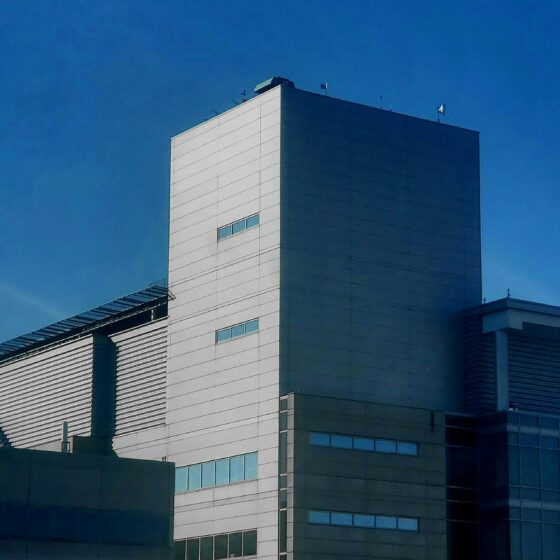 pexels j s mcduff 2149691498 31006896